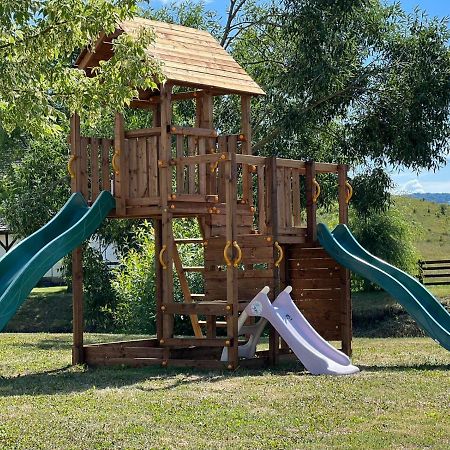 Pensiunea Violeta Saschiz Ngoại thất bức ảnh
