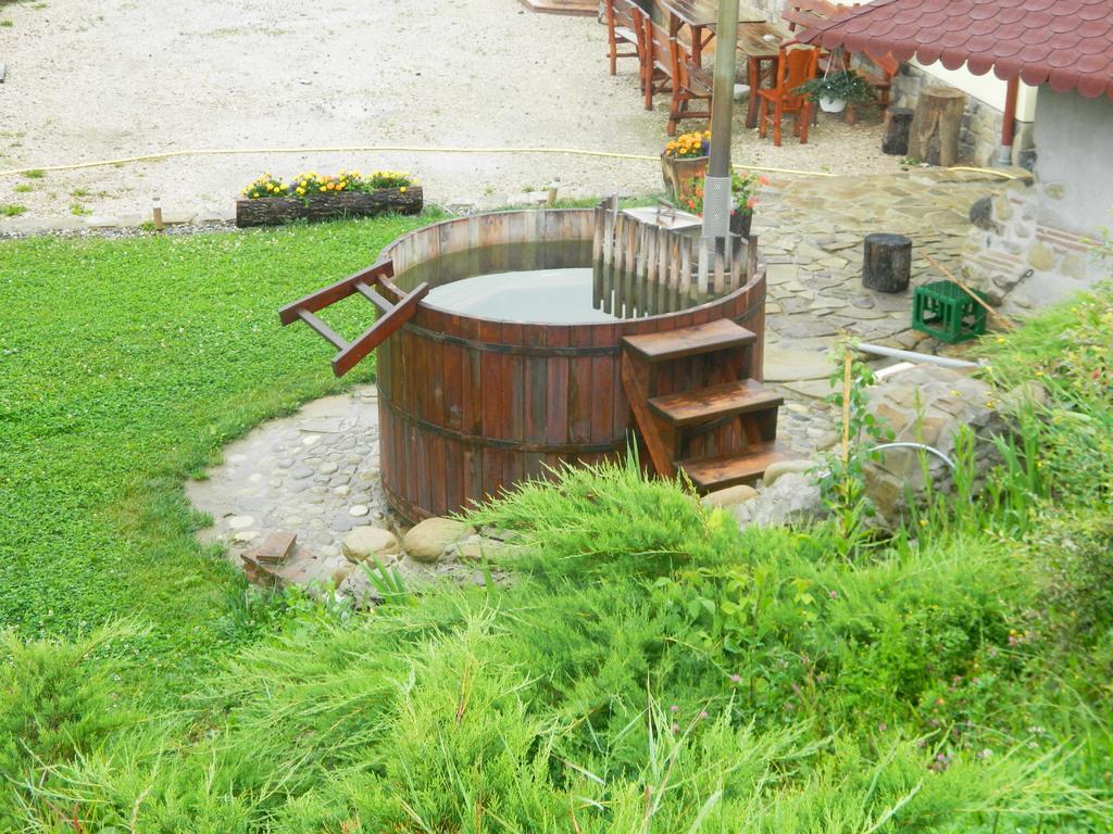 Pensiunea Violeta Saschiz Ngoại thất bức ảnh