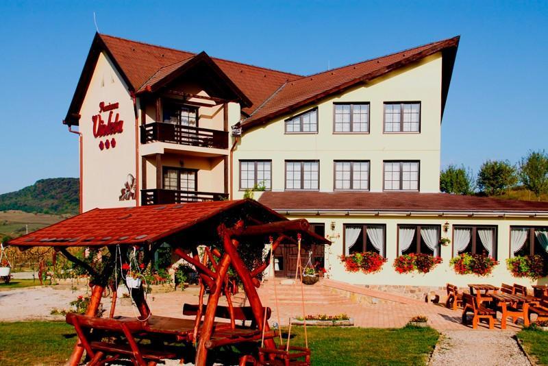 Pensiunea Violeta Saschiz Ngoại thất bức ảnh